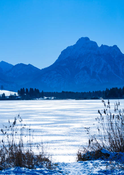 frozen Lake Hopfensee in winter in the back light with view of the Säuling, Bavaria, Germany