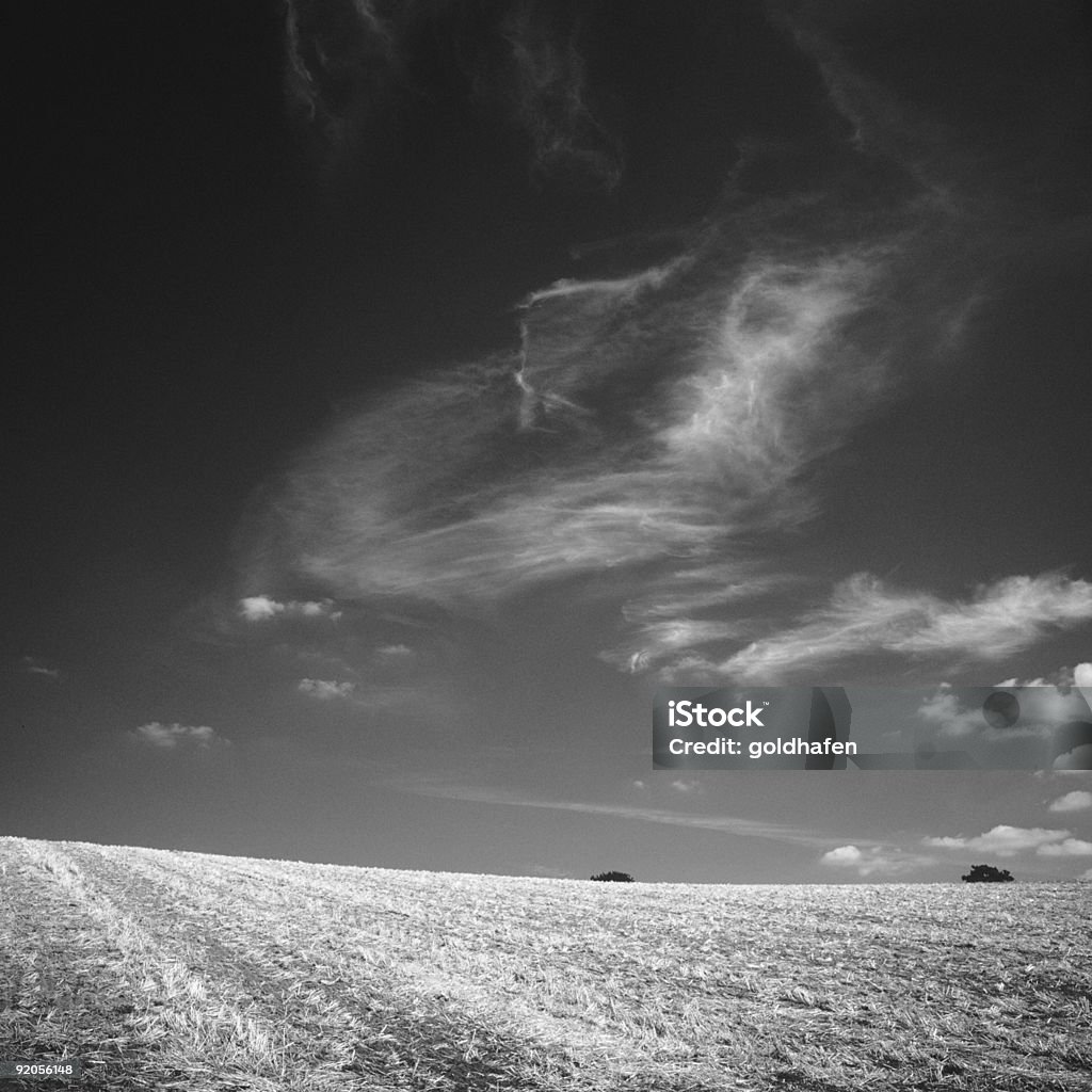 Campo vuoto sotto estate skys - Foto stock royalty-free di Bianco e nero