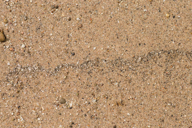 istock Golden sand background. Fine sea sand texture. 920581118