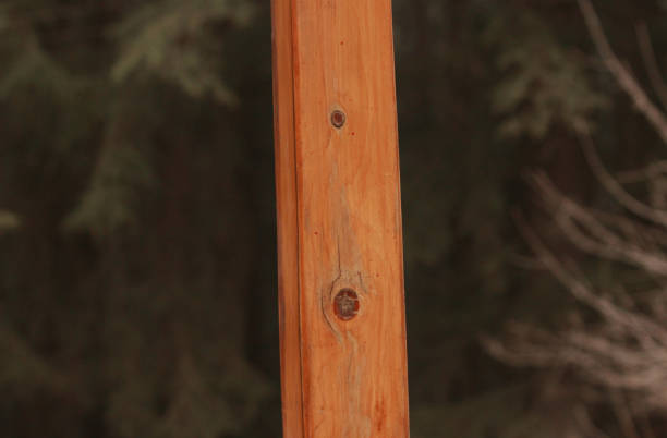 istock Wooden Fence texture 920586750