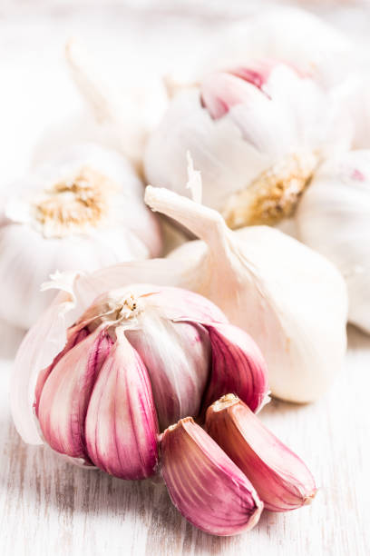 healing plants: (Allium sativum) Garlic - bulbs and individual cloves
