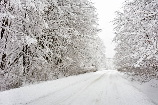 istock A snowy road through the forest on a cloudy day. 920594320