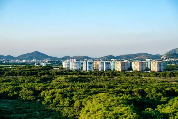 Forest landscape with hill in  the background, near Vila Panamericana, on a clear afternoon. Barra da Tijuca, Rio de Janeiro.