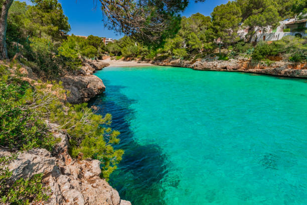 istock Idyllic beach bay on Majorca island, Spain Mediterranean Sea 920600368