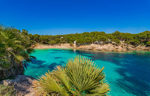 istock Idyllic bay beach Cala Gat in Cala Ratjada, Mallorca, Spain Balearic islands 920607874