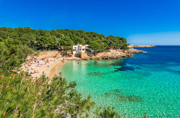 istock Idyllic bay beach Cala Gat in Cala Ratjada, Mallorca, Spain Balearic islands 920612312