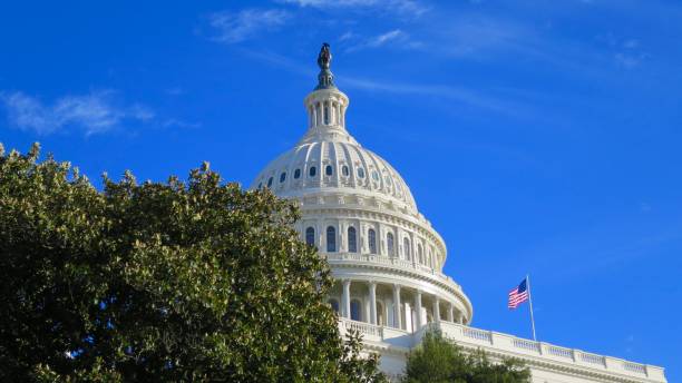 istock United States Capital on a Sunny Day 920612528
