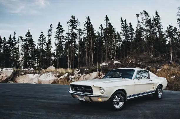 Photo of Vintage Muscle Car