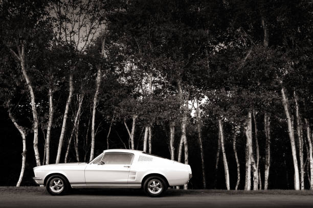 Vintage 1960's coupe.