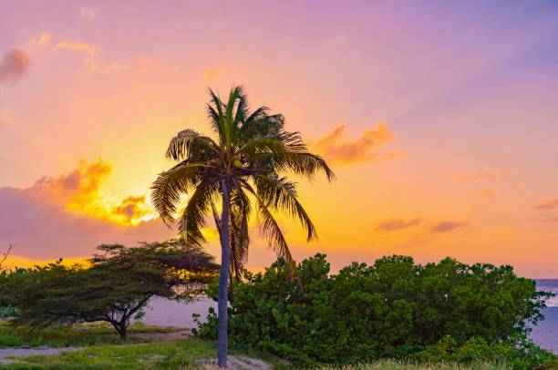 istock sunset sum sea of the caribbean 920620022
