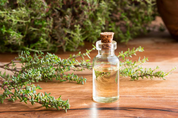 istock A transparent bottle of thyme essential oil with fresh thyme twigs 920637334