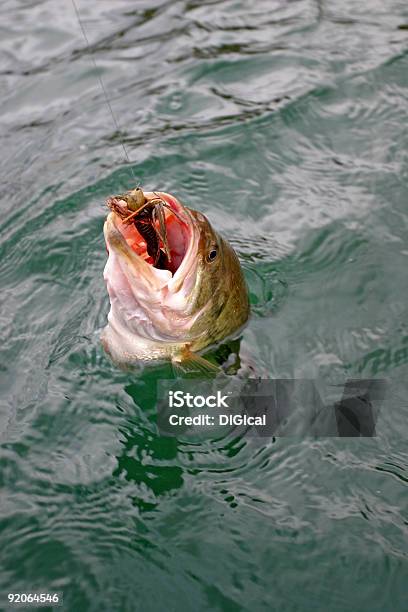 Bassangeln Stockfoto und mehr Bilder von Farbbild - Farbbild, Fotografie, Niemand