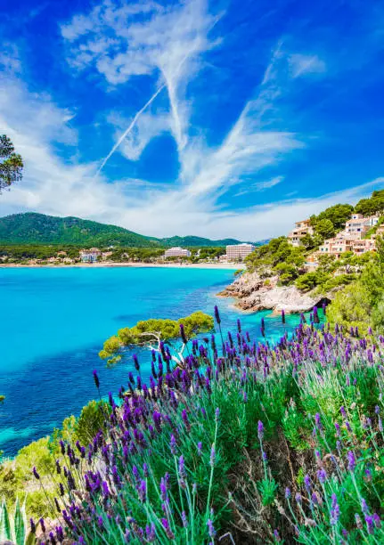 Beautiful view of Canyamel bay, coastline on Majorca island, Spain Mediterranean Sea