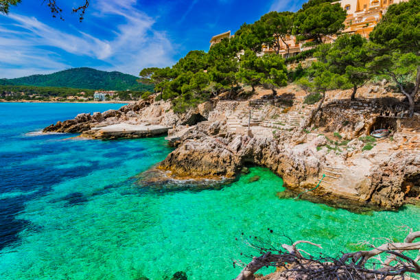 istock Coast of Canyamel Majorca Spain, Balearic islands 920645860