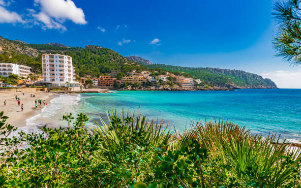 istock Majorca beach in Sant Elm, beautiful seaside on Mallorca island, Spain 920648428