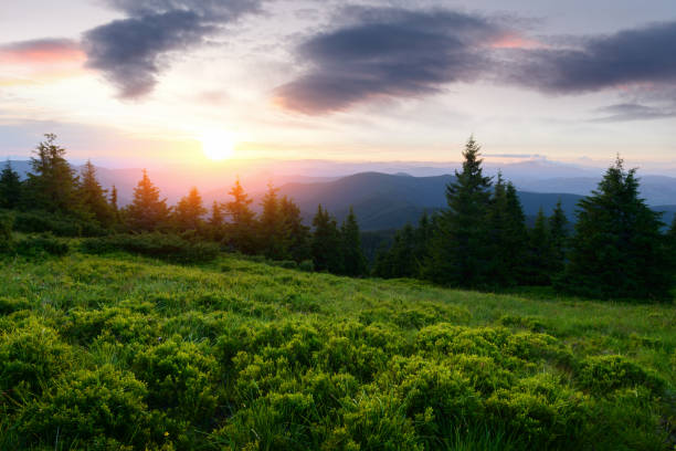 istock Picturesque summer landscape with colorful sunrise 920648548