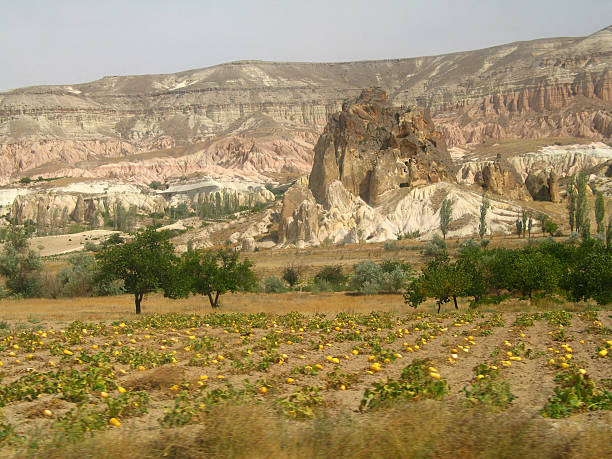 la cappadoce - cappadocia fun nature mushroom photos et images de collection