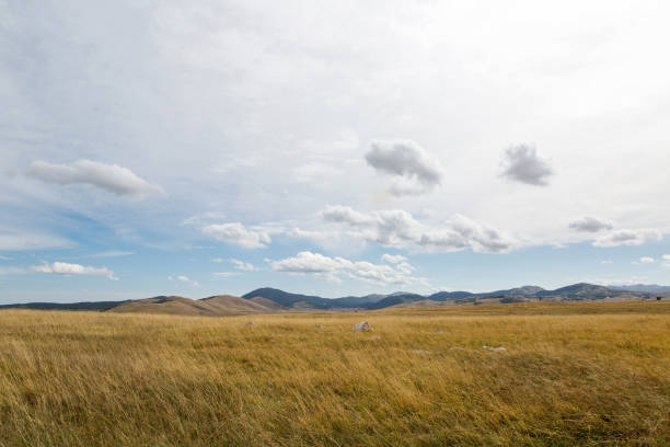 The way to Ispolin peak in Stara Planina. Gabrovo province, Bulgaria, Europe.