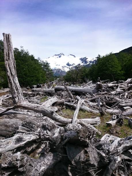 istock Cerro Tronador View. Bariloche, Argentina. vertical. 920651554