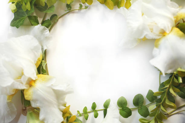 istock Frame with Iris white flowers, buds, green ivy branches and yellow leaves isolated on white background. Top view. Flat lay. 920656740