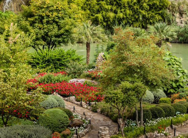 istock San Antonio Japanese Tea Garden 920656846