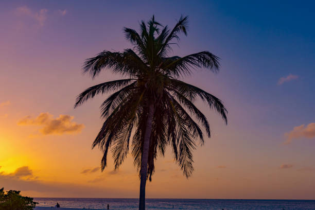istock sunset sum sea of the caribbean 920657082