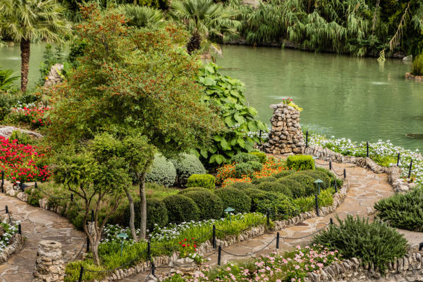 istock San Antonio Japanese Tea Garden 920657178