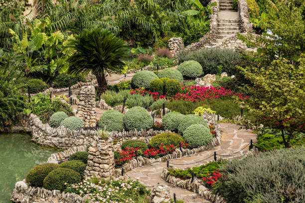 giardino del tè giapponese di san antonio - nature japanese garden formal garden ornamental garden foto e immagini stock