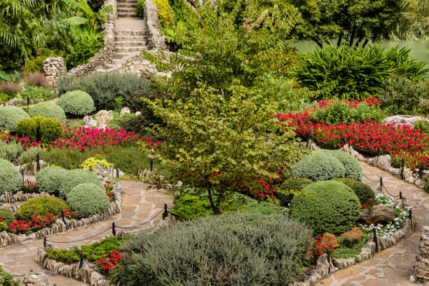 istock San Antonio Japanese Tea Garden 920659704