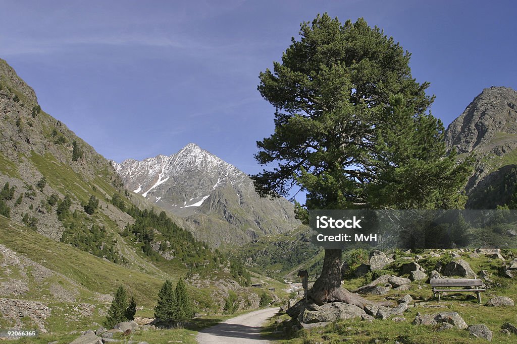 alpine valley - Lizenzfrei Österreich Stock-Foto
