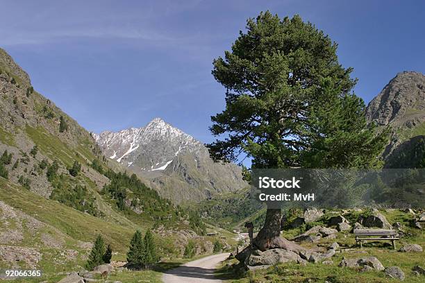 Photo libre de droit de Alpine De banque d'images et plus d'images libres de droit de Autriche - Autriche, Randonnée pédestre, Banc