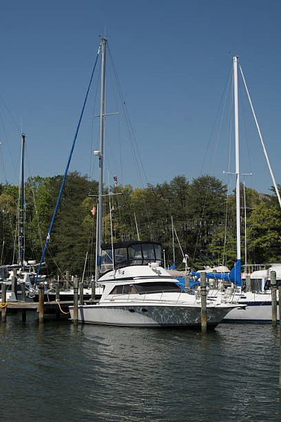 Boats In a Marina stock photo