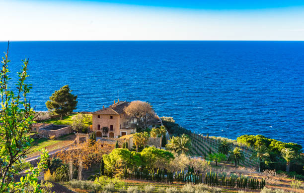 Mediterranean mansion with idyllic vineyard at sea coast Idyllic view of mediterranean house with vineyard at beautiful coastline banyalbufar stock pictures, royalty-free photos & images