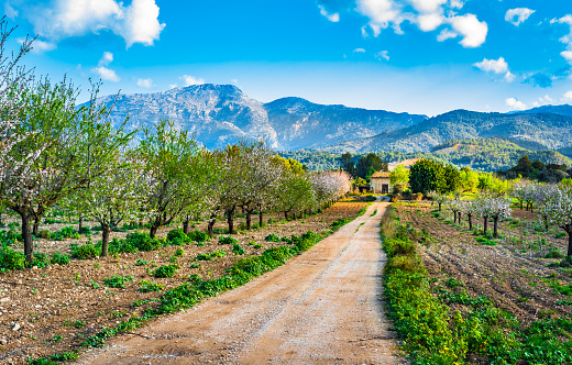 Beautiful spring day with idyllic island scenery on Mallorca, Spain
