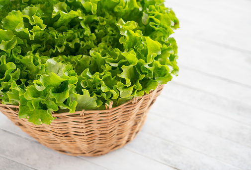 Close-Up Of Lettuce Over White Background