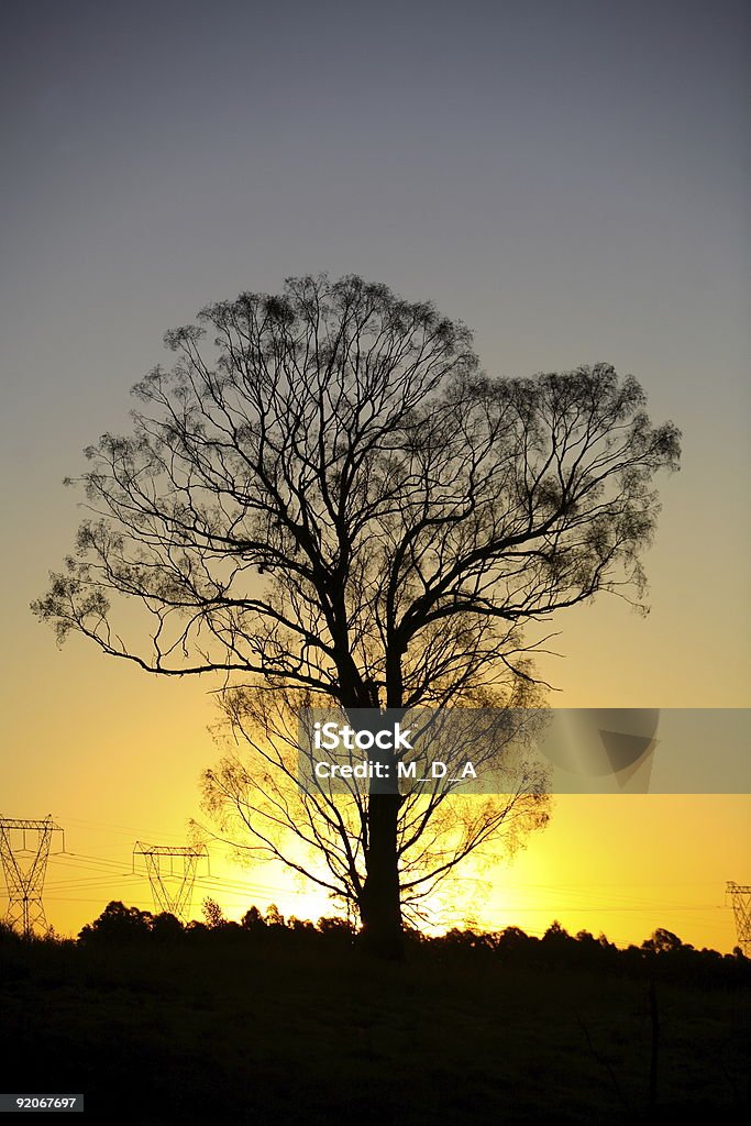 African Sunset  Africa Stock Photo