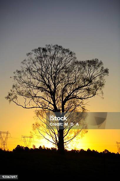 African Sunset Stock Photo - Download Image Now - Africa, Arranging, Awe