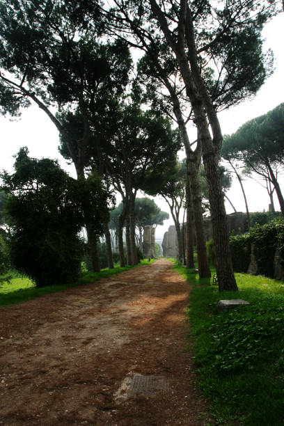 istock Empty Dirt Road in Rome Italy 92067715