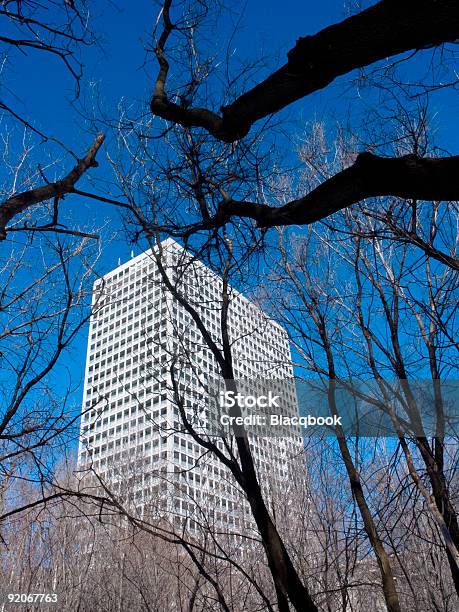 Treehome Foto de stock y más banco de imágenes de Aire libre - Aire libre, Arquitectura exterior, Azul