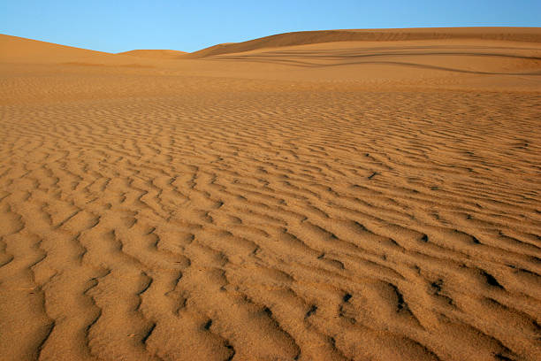 sand dune wüste - arenology stock-fotos und bilder
