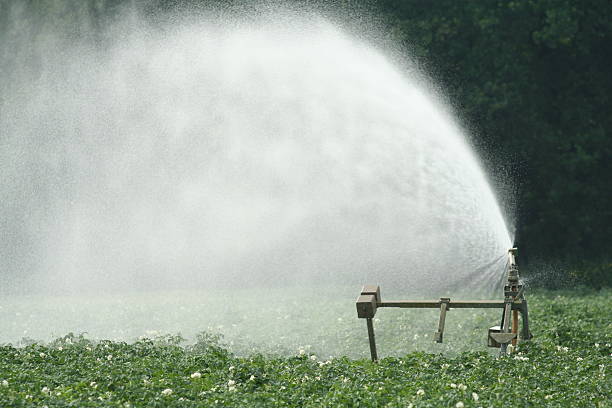 Irrigazione con pompa - foto stock