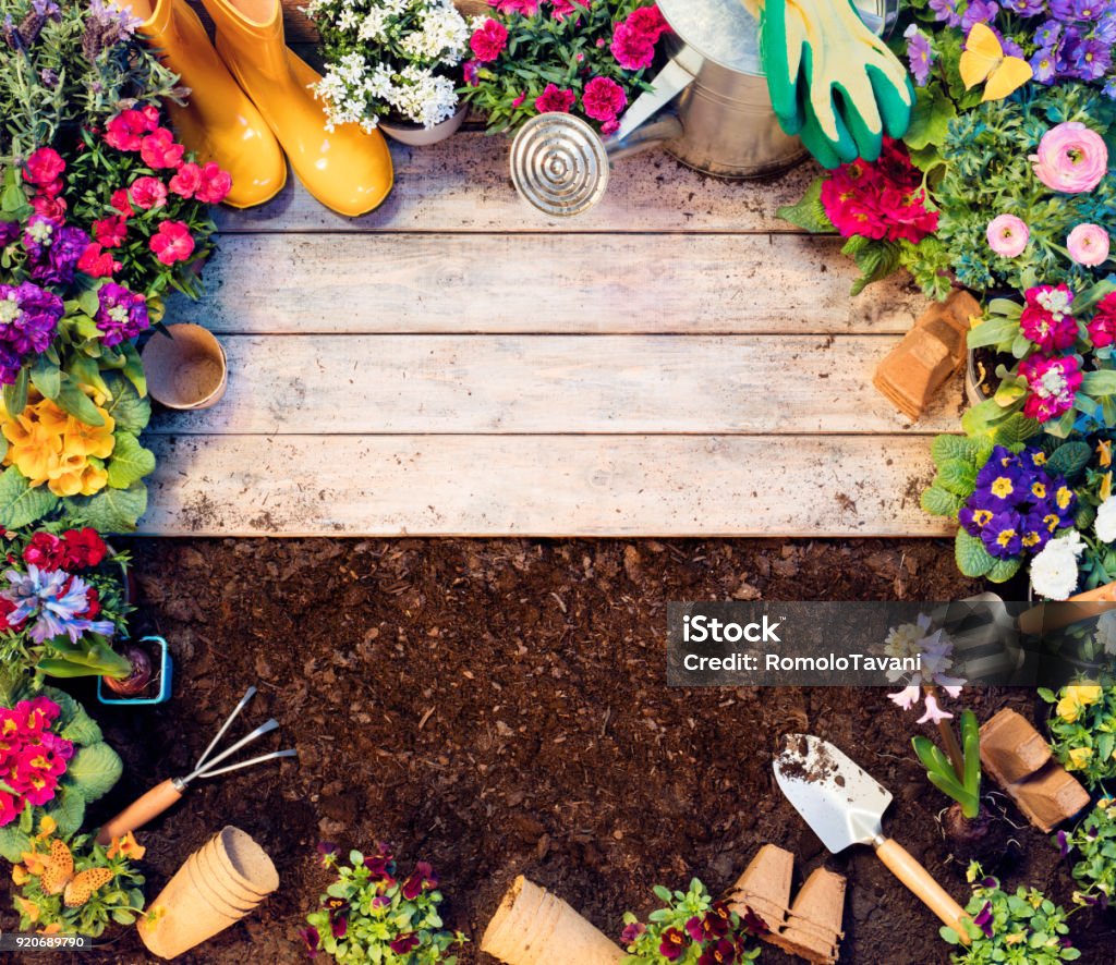 Cadre de jardinage - outils et pots de fleurs sur la Table en bois et de la saleté - Photo de Fleur - Flore libre de droits