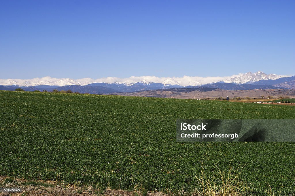 Soja e montanhas rochosas - Foto de stock de Fotografia - Imagem royalty-free