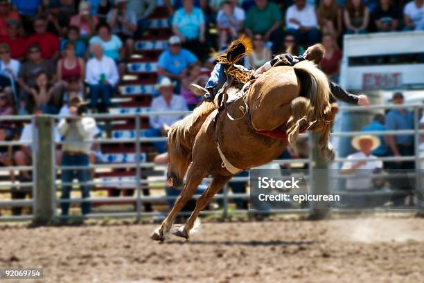 Buckin Bronc - Fotografie stock e altre immagini di Composizione orizzontale - Composizione orizzontale, Fotografia - Immagine, Immagine a colori