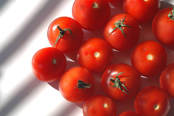 istock Diagonal rows of fresh red ripe tomatoes 92069815