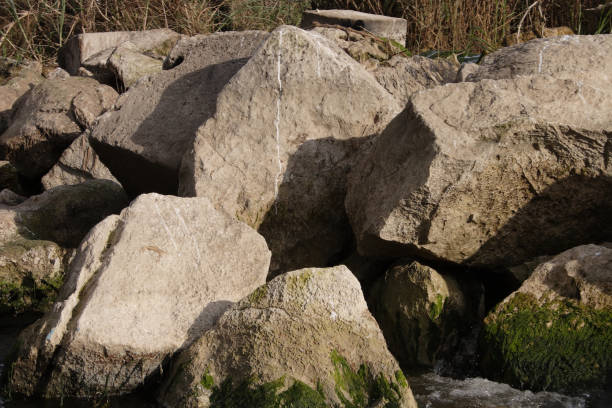 istock Rocks and trees on the nile river 920698496