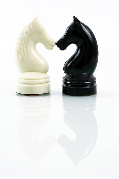 Two chess horse with reflection stock photo