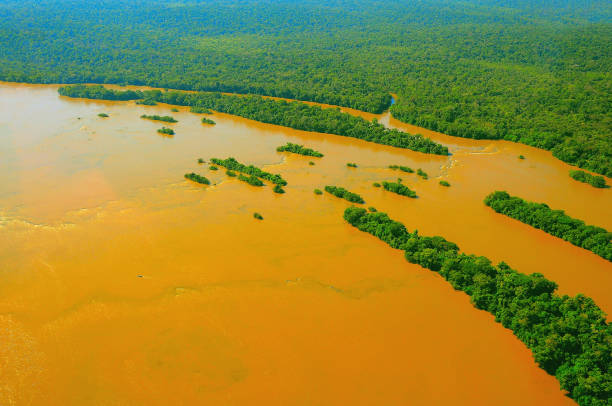 istock Aerial view of Iguazu river. 920713372