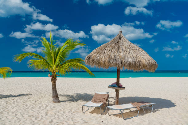 istock caribbean island Aruba 920713486