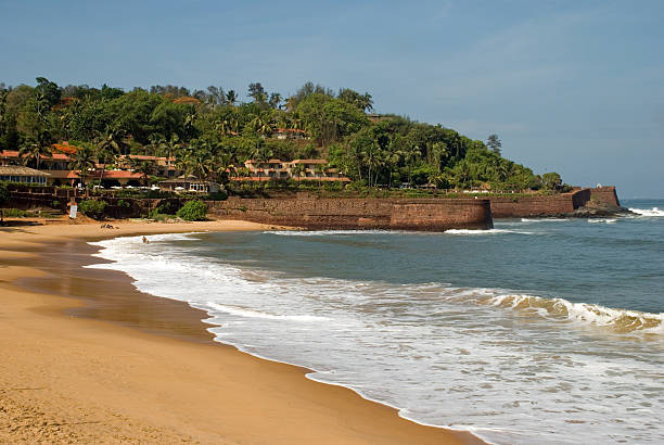 surfe de areia dourada férias tropicais na aguada beach, goa, índia - goa beach india green - fotografias e filmes do acervo